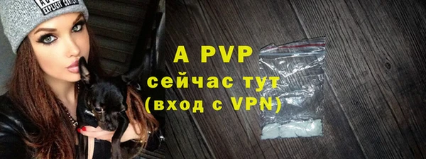 МДПВ Карпинск