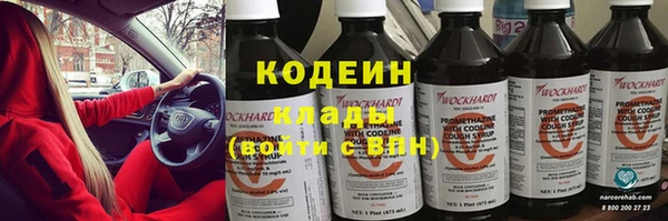 МДПВ Карпинск